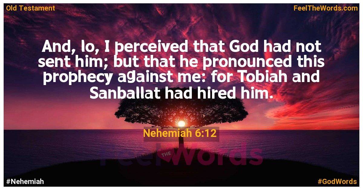 Nehemiah 6:12