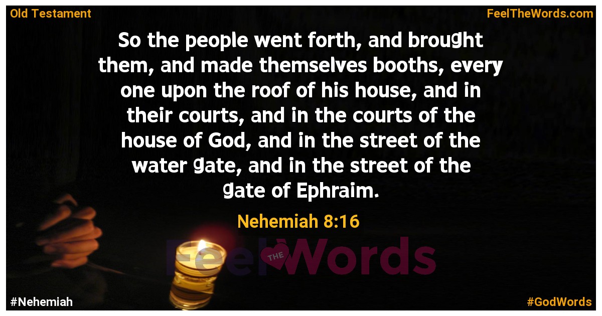 Nehemiah 8:16