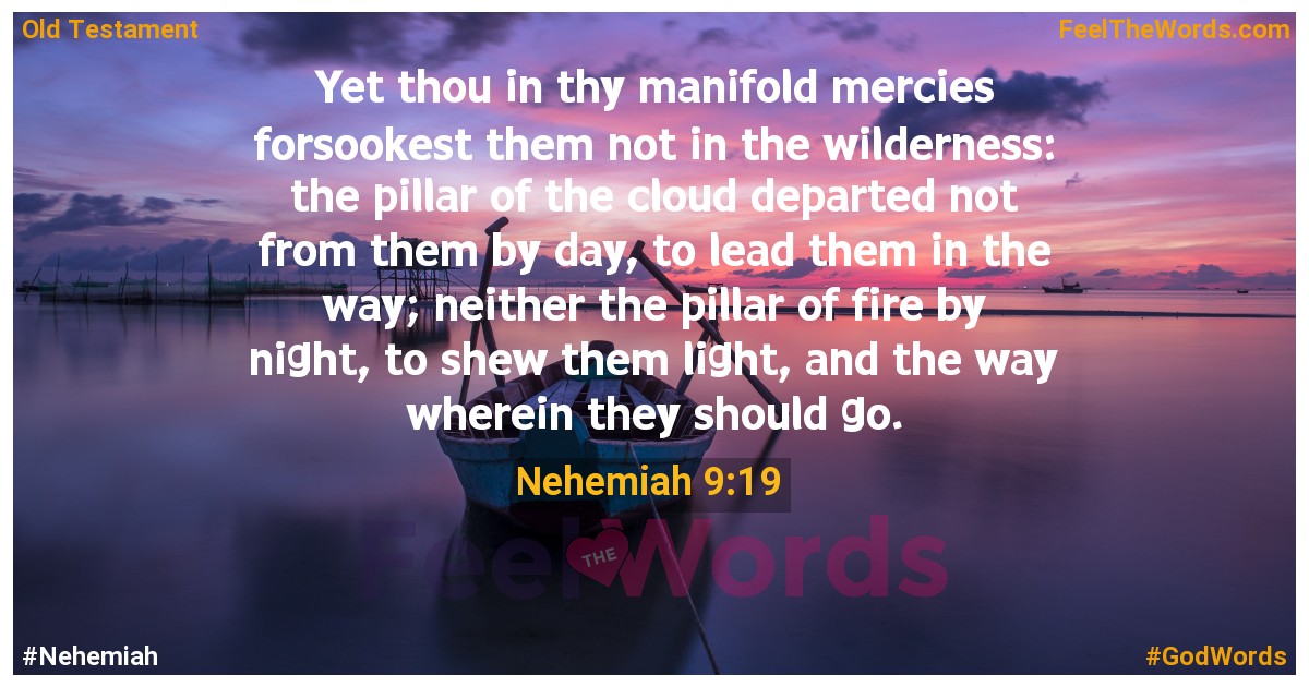 Nehemiah 9:19