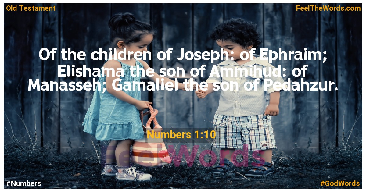 Numbers 1:10