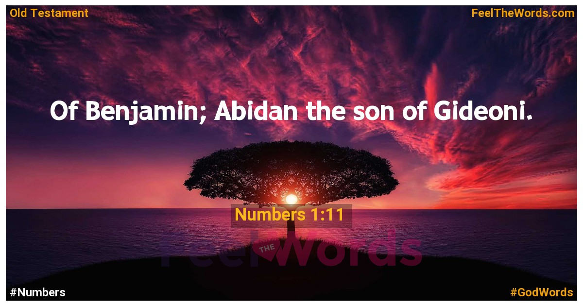 Numbers 1:11