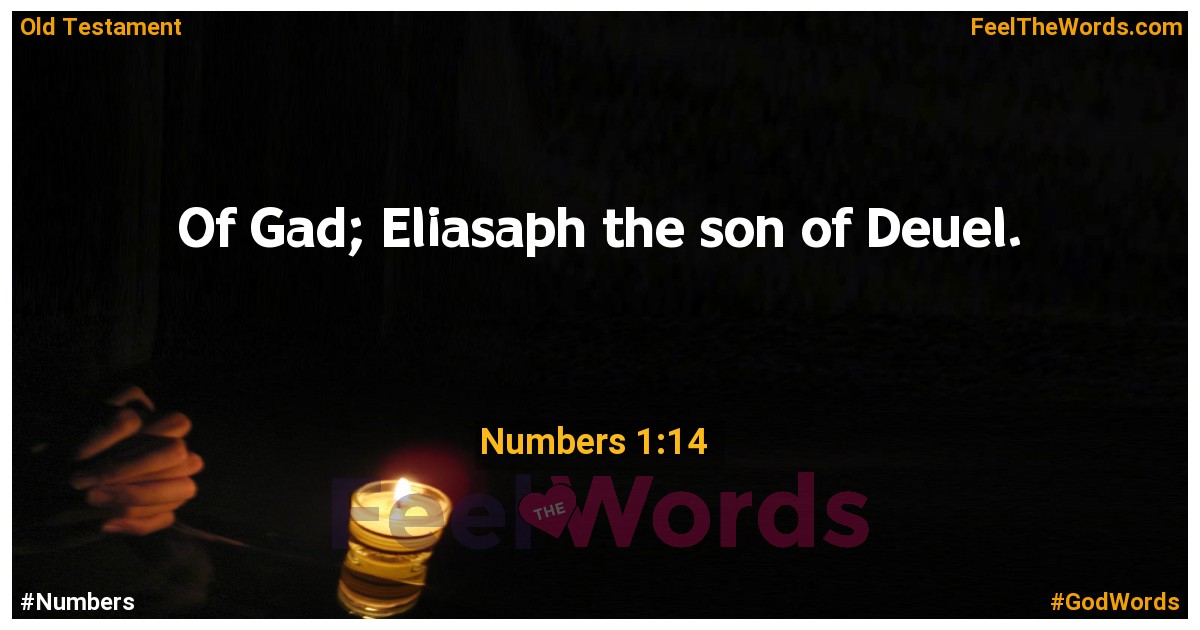 Numbers 1:14