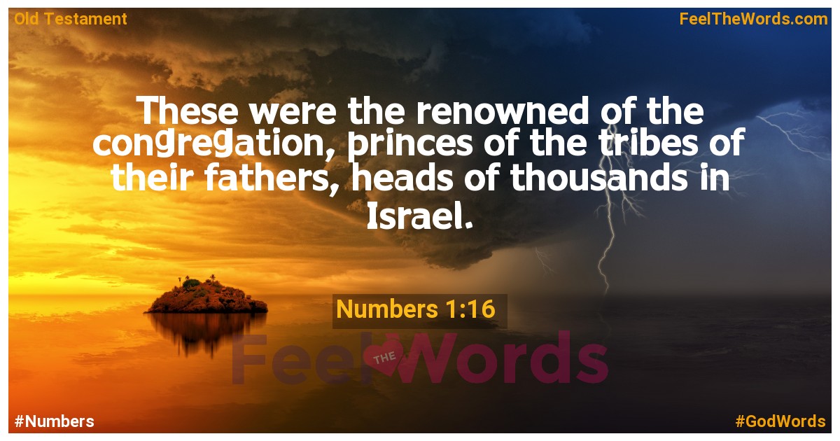 Numbers 1:16