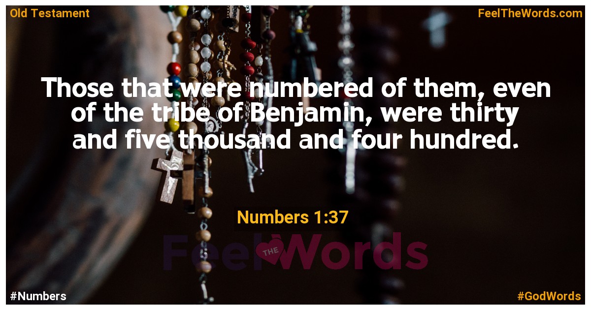 Numbers 1:37