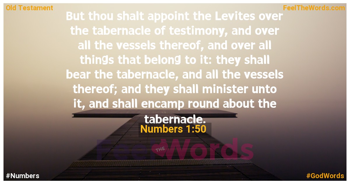 Numbers 1:50