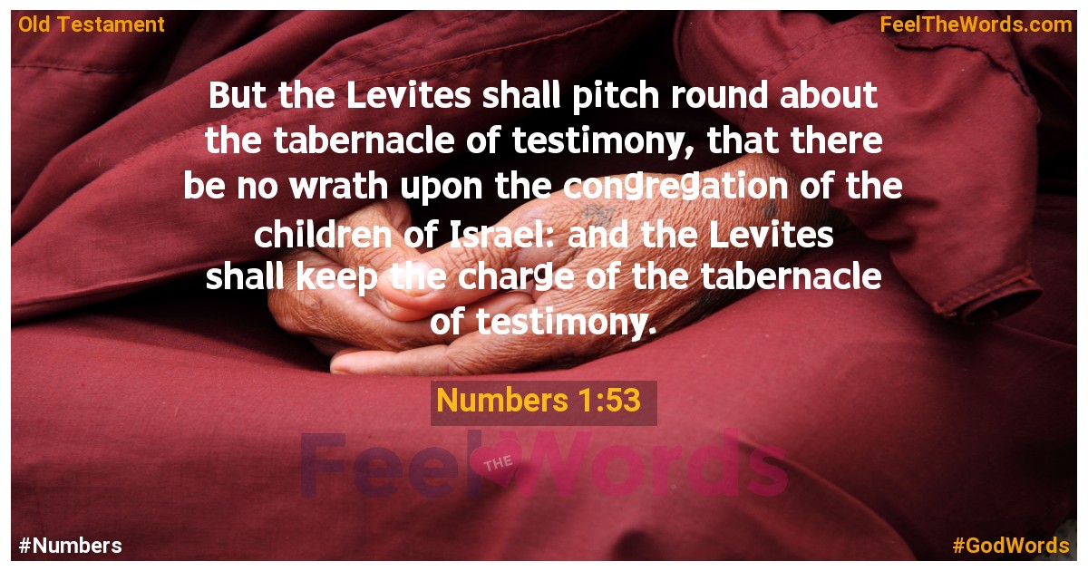 Numbers 1:53