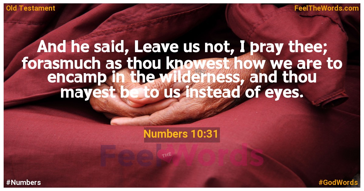 Numbers 10:31