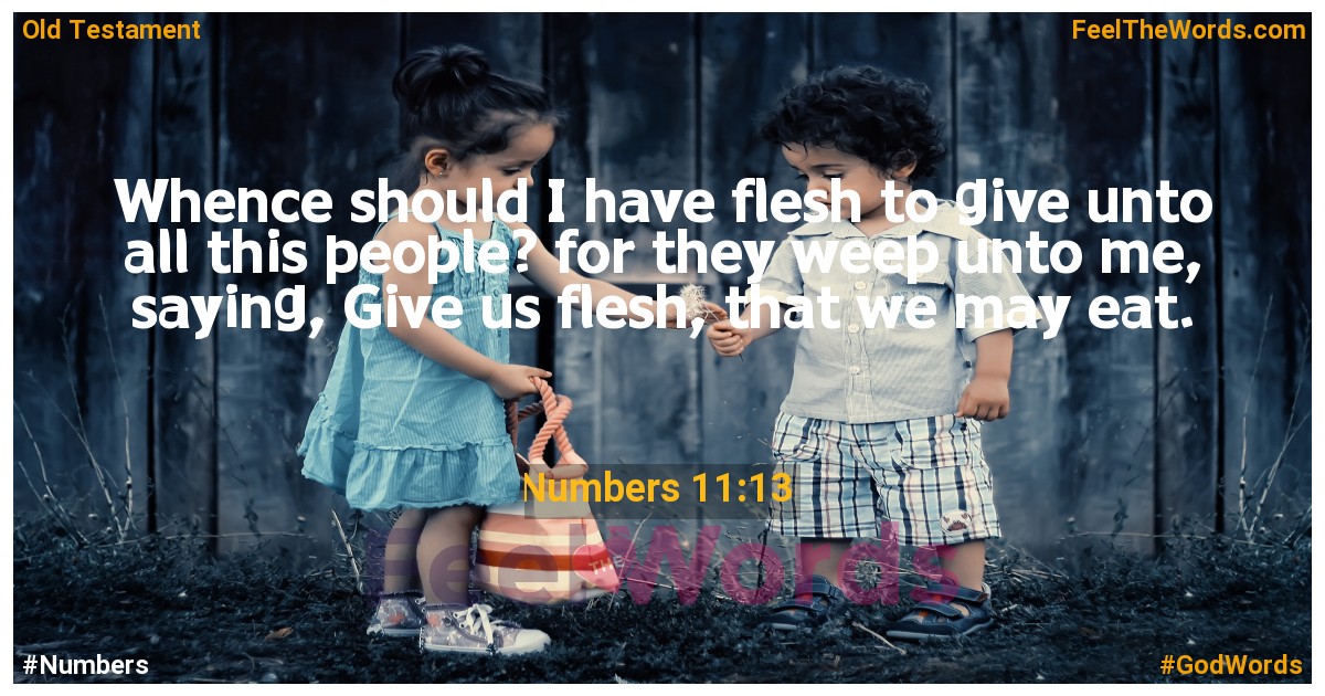Numbers 11:13