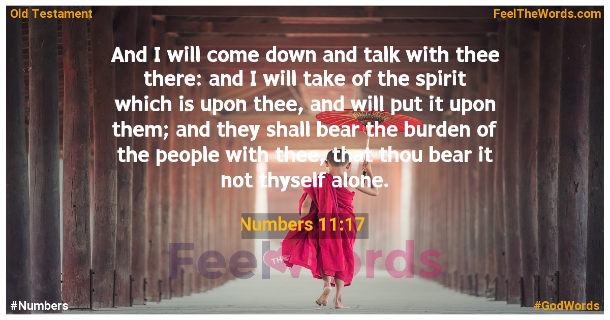 Numbers 11:17
