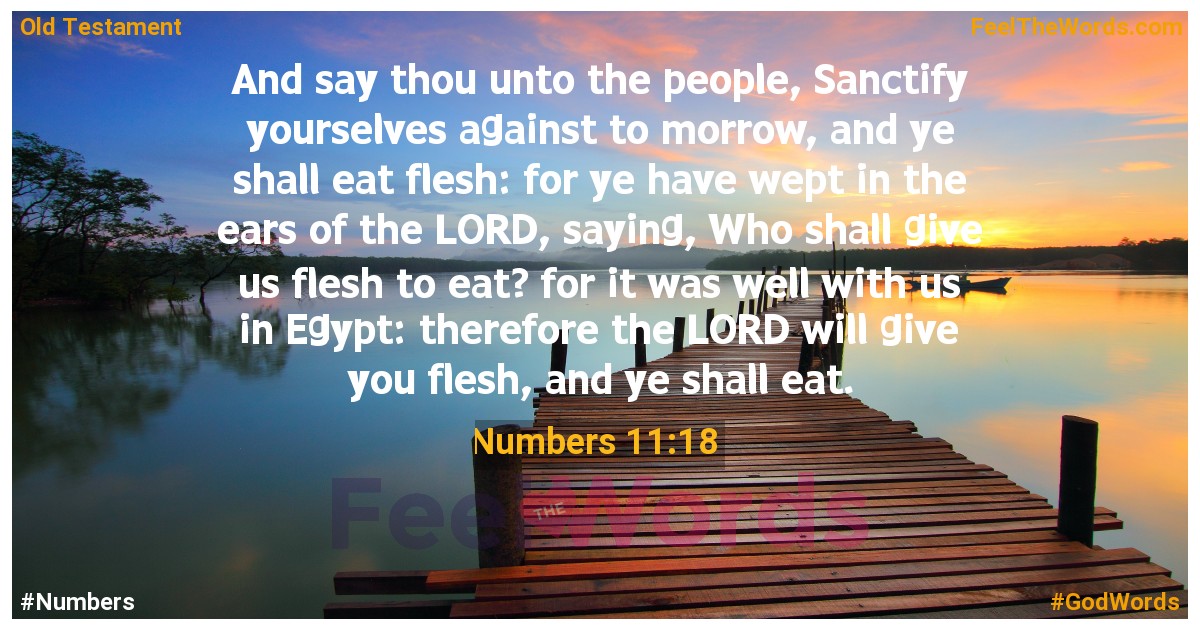 Numbers 11:18