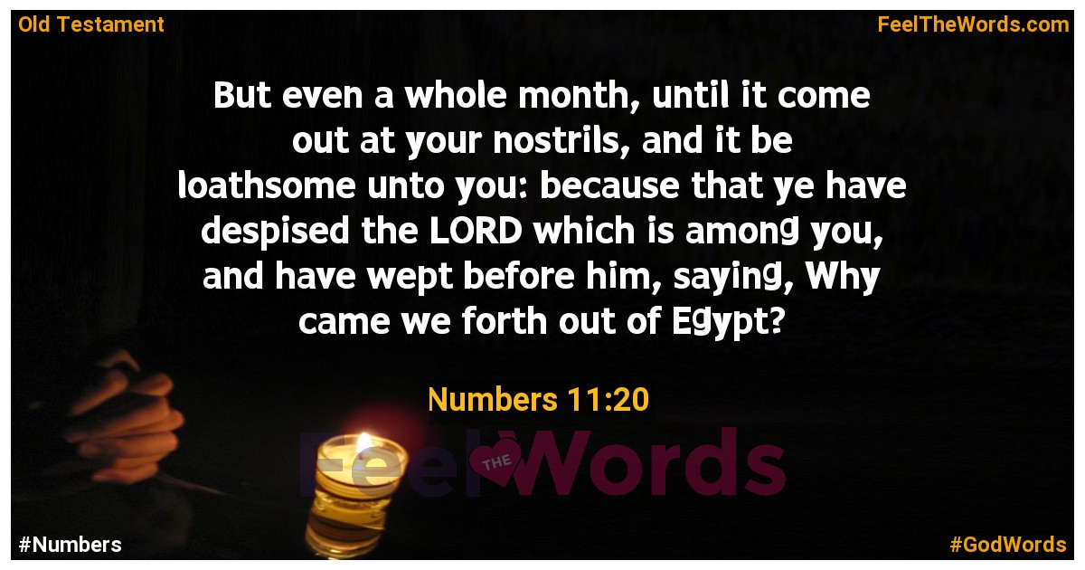 Numbers 11:20