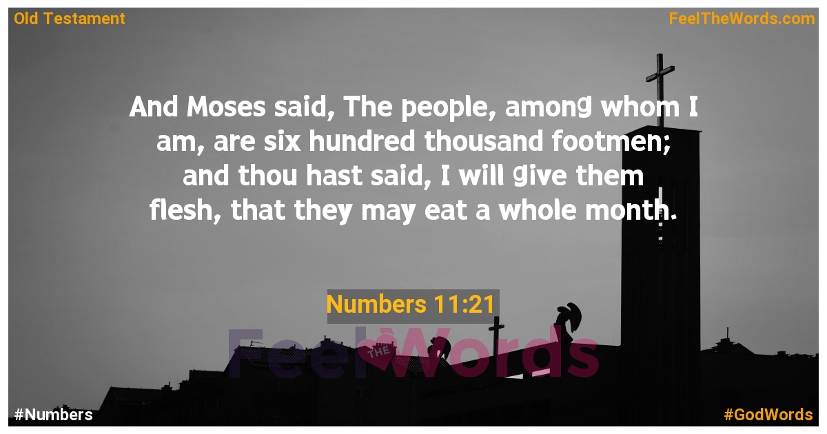 Numbers 11:21