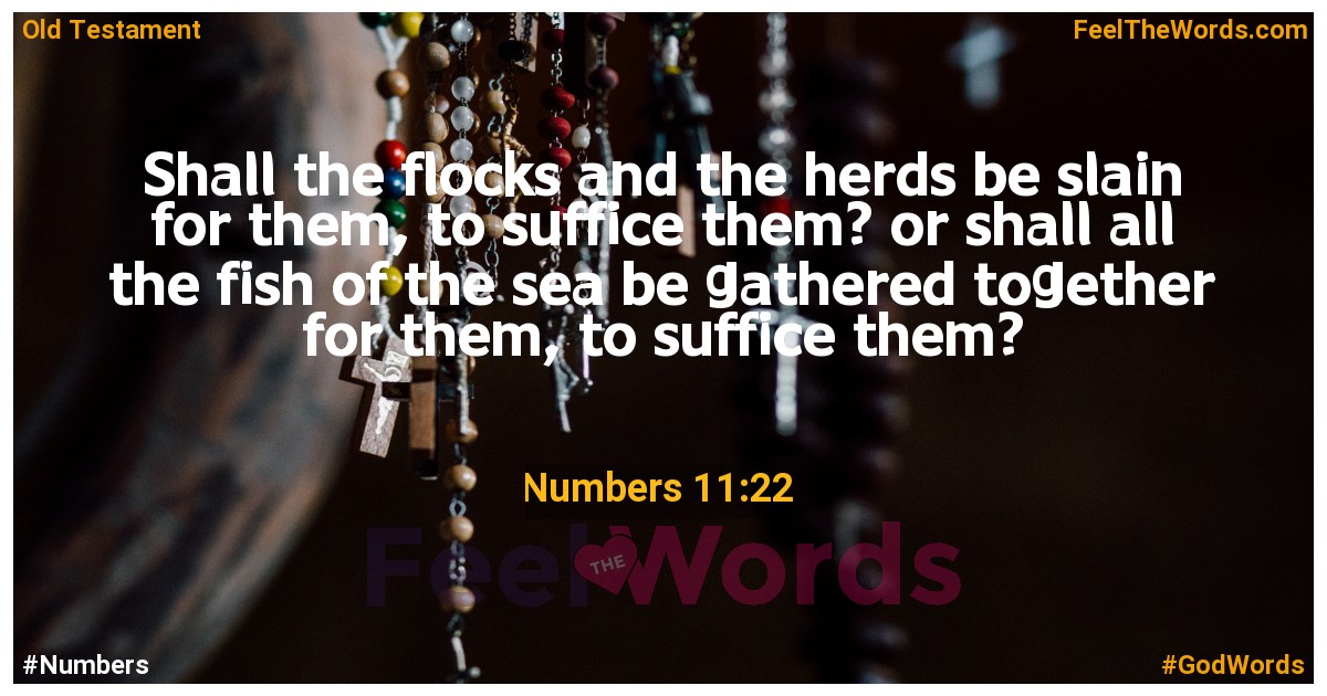 Numbers 11:22