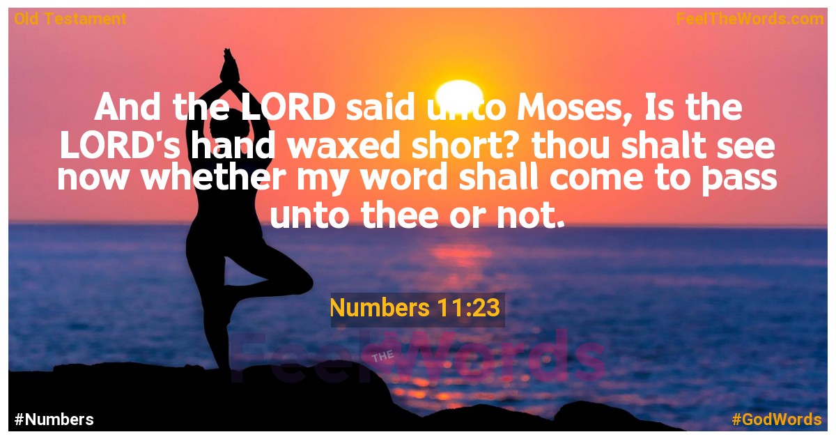 Numbers 11:23