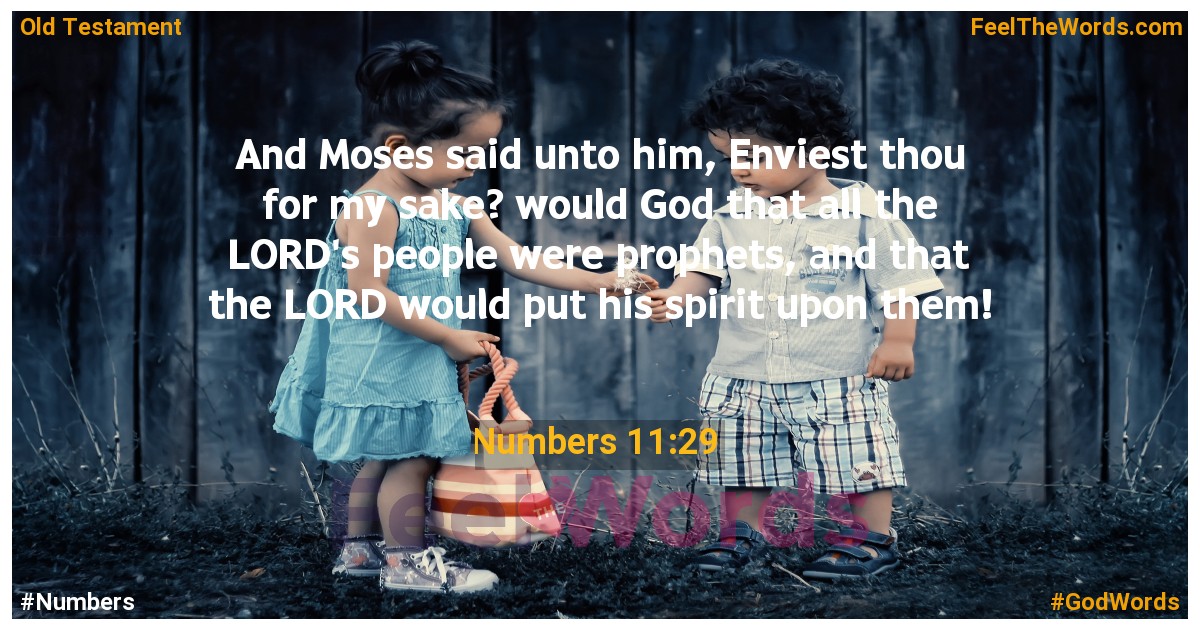 Numbers 11:29