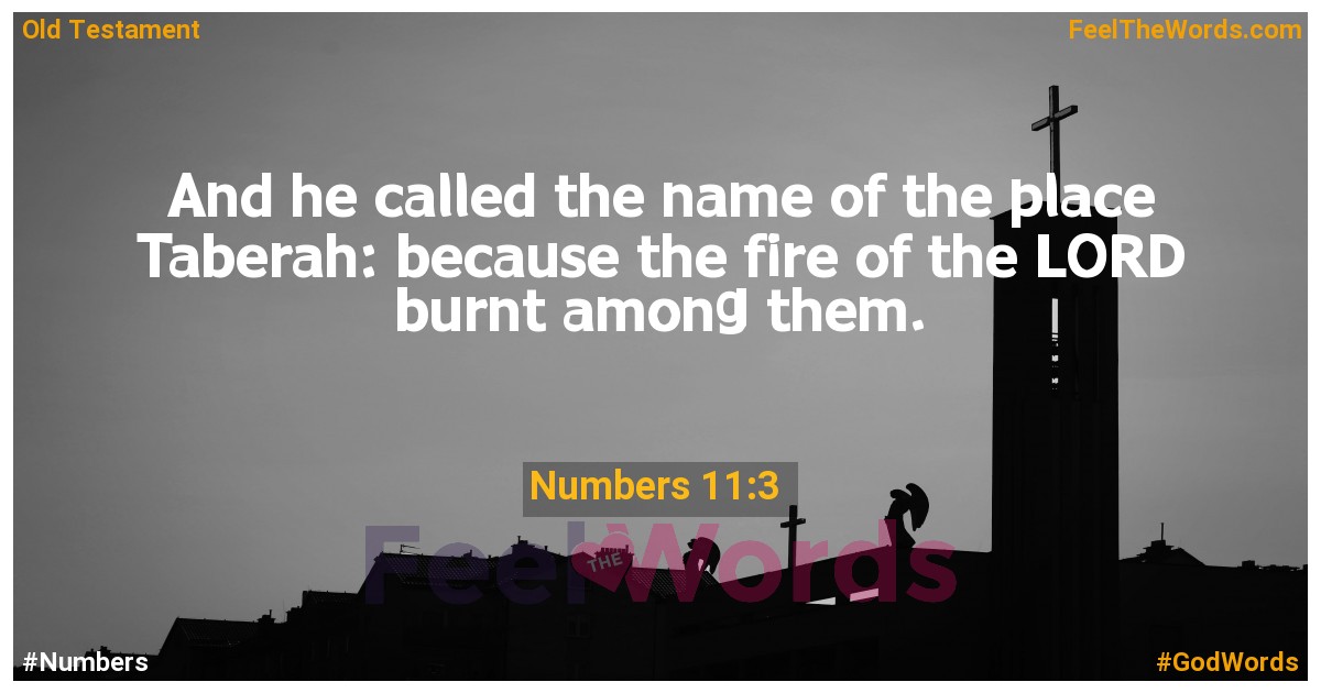 Numbers 11:3