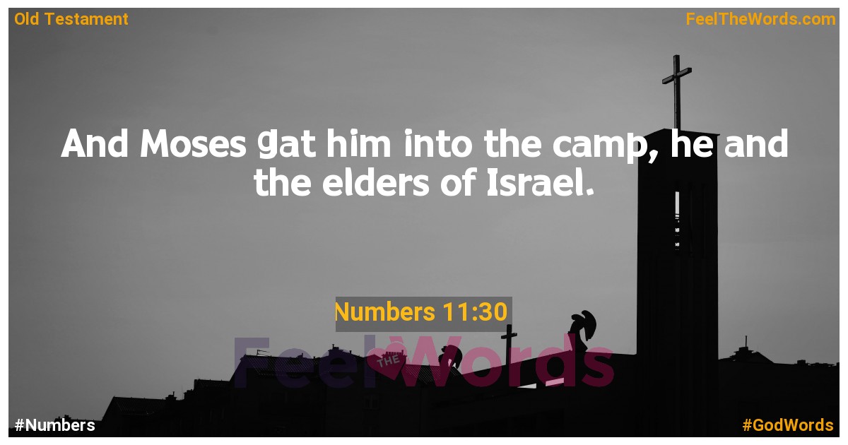 Numbers 11:30