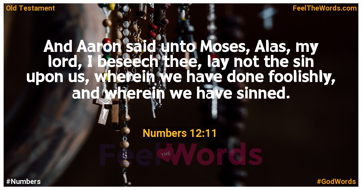 Numbers 12:11