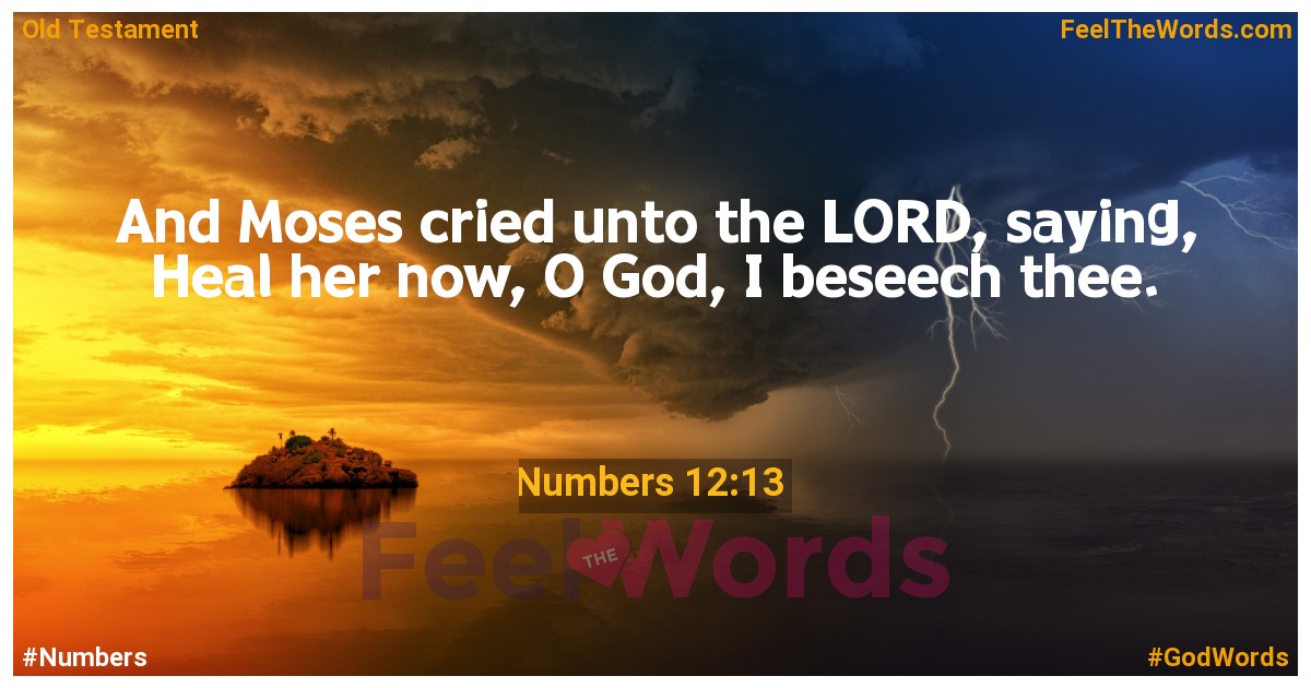 Numbers 12:13