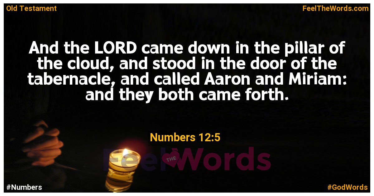 Numbers 12:5