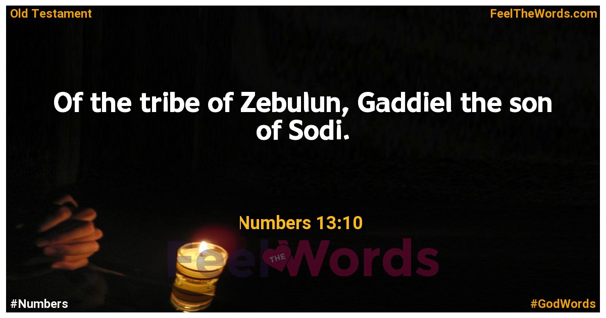Numbers 13:10