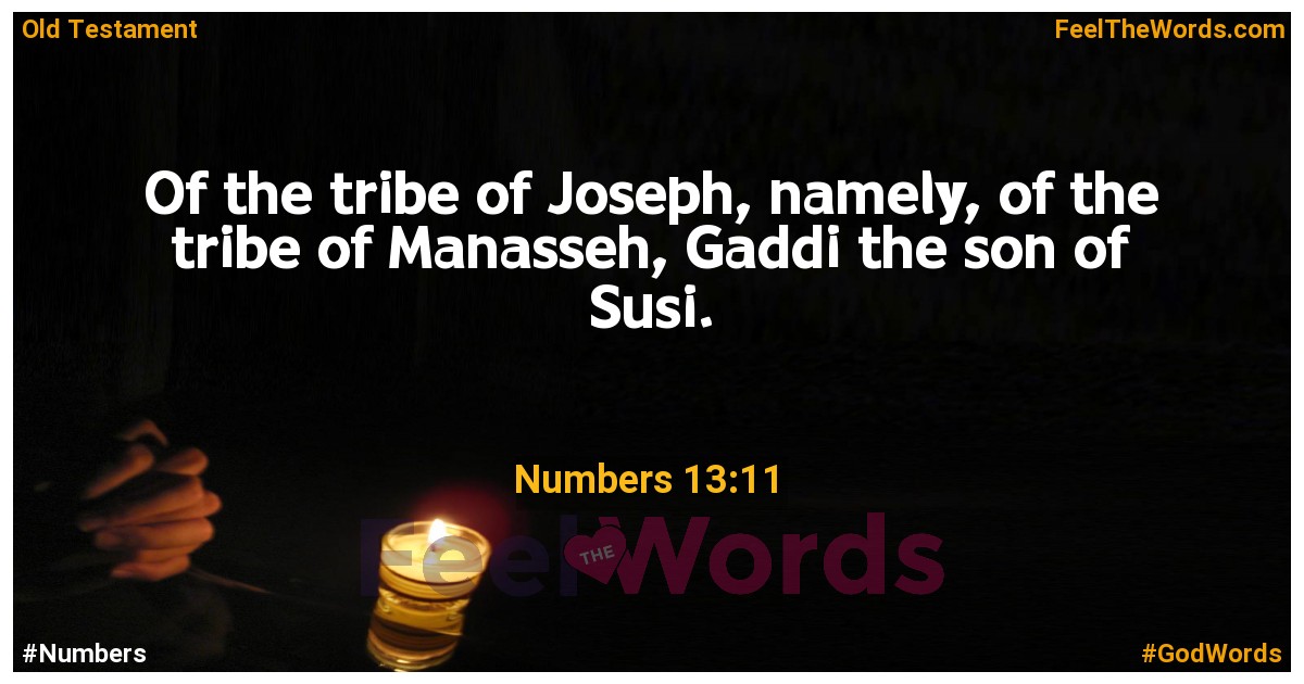 Numbers 13:11