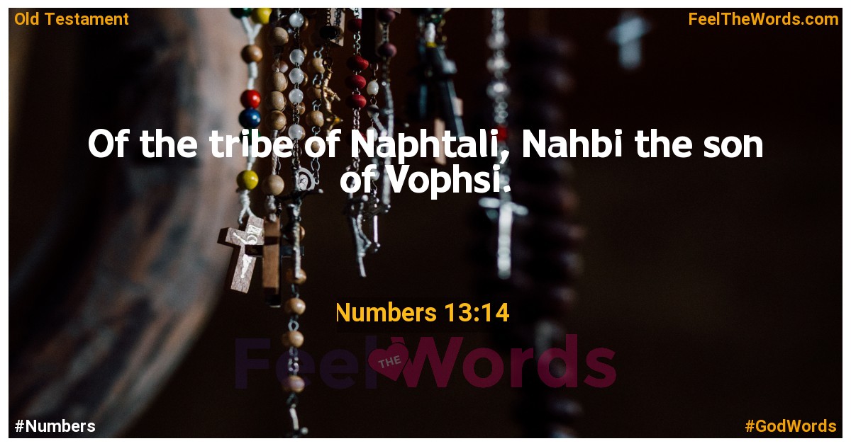 Numbers 13:14