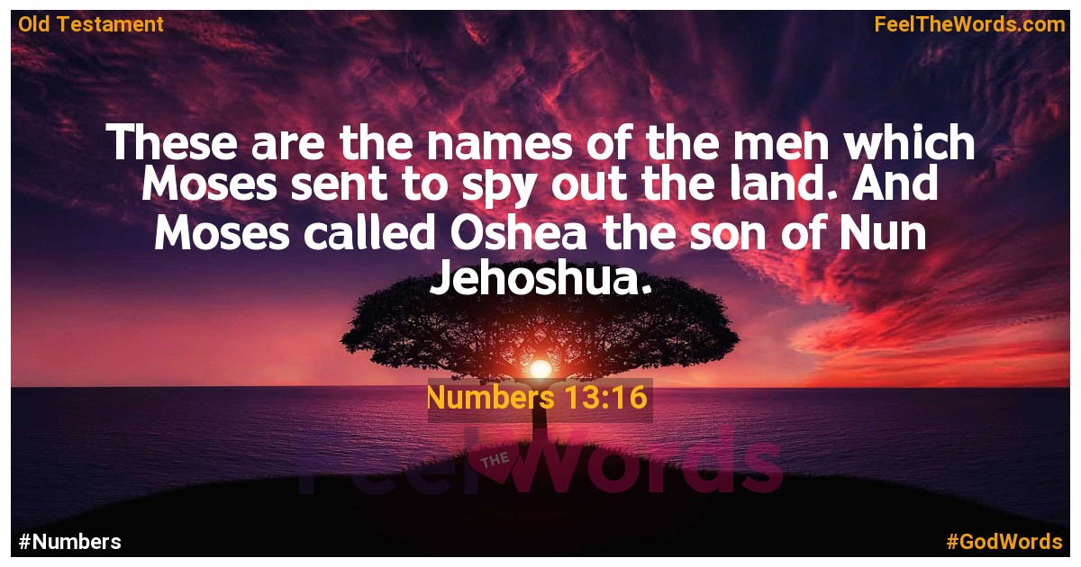 Numbers 13:16