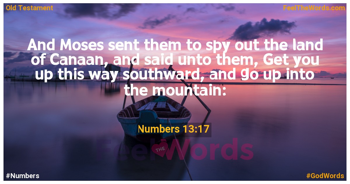 Numbers 13:17