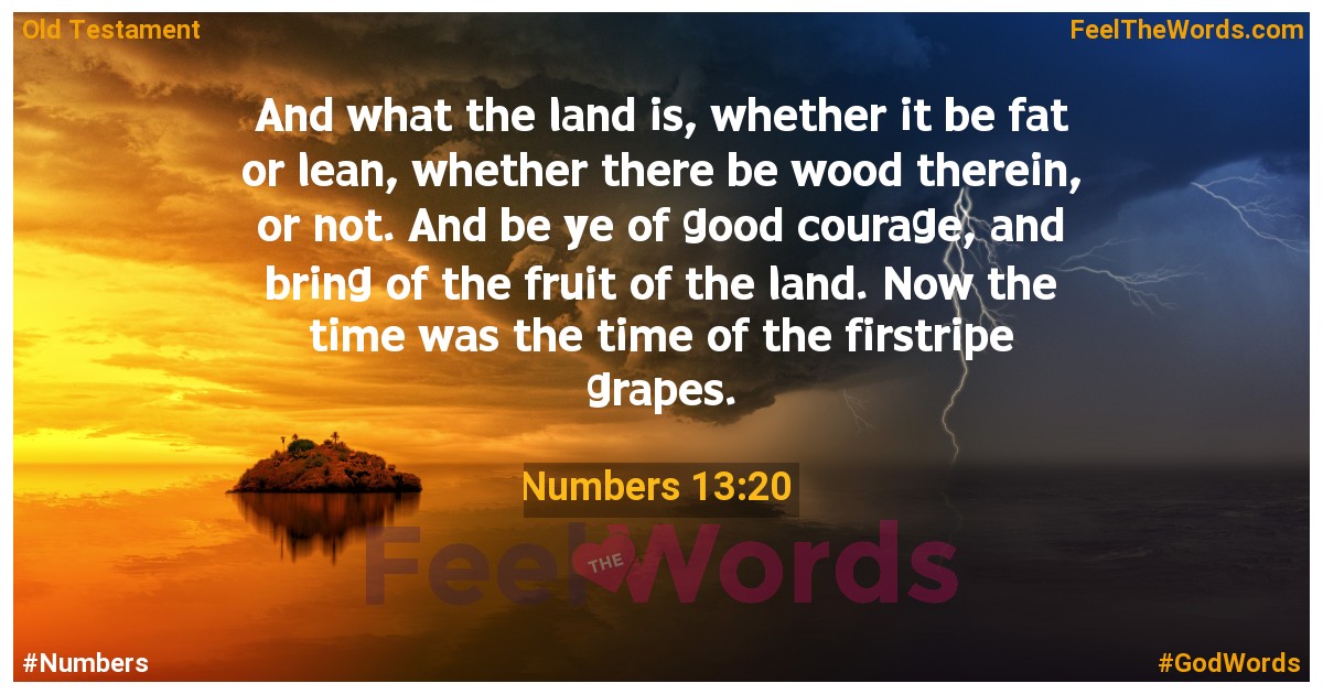 Numbers 13:20