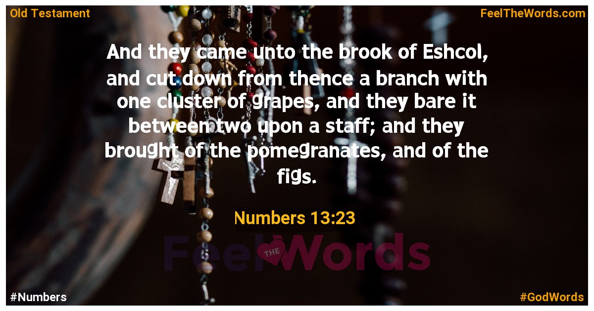 Numbers 13:23