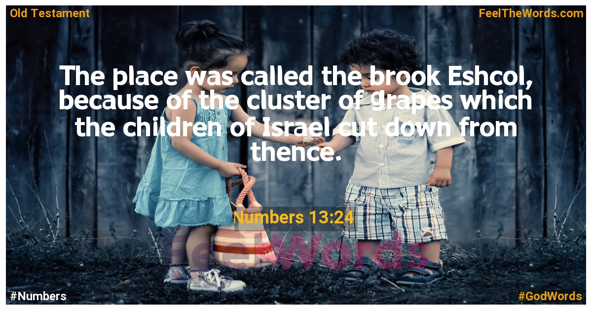 Numbers 13:24