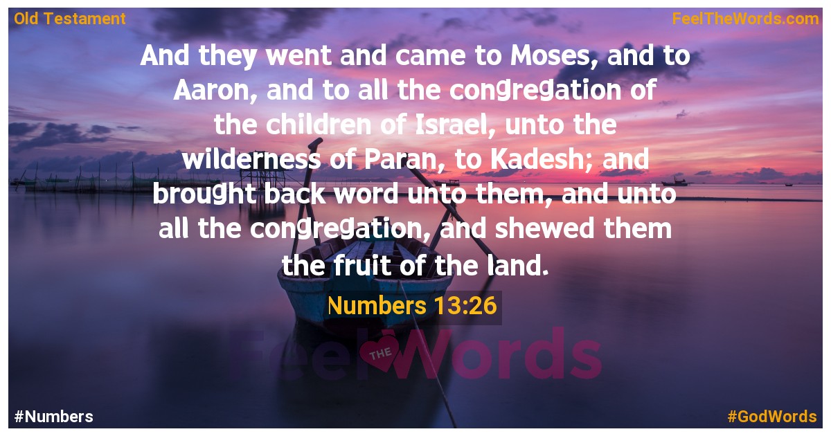 Numbers 13:26