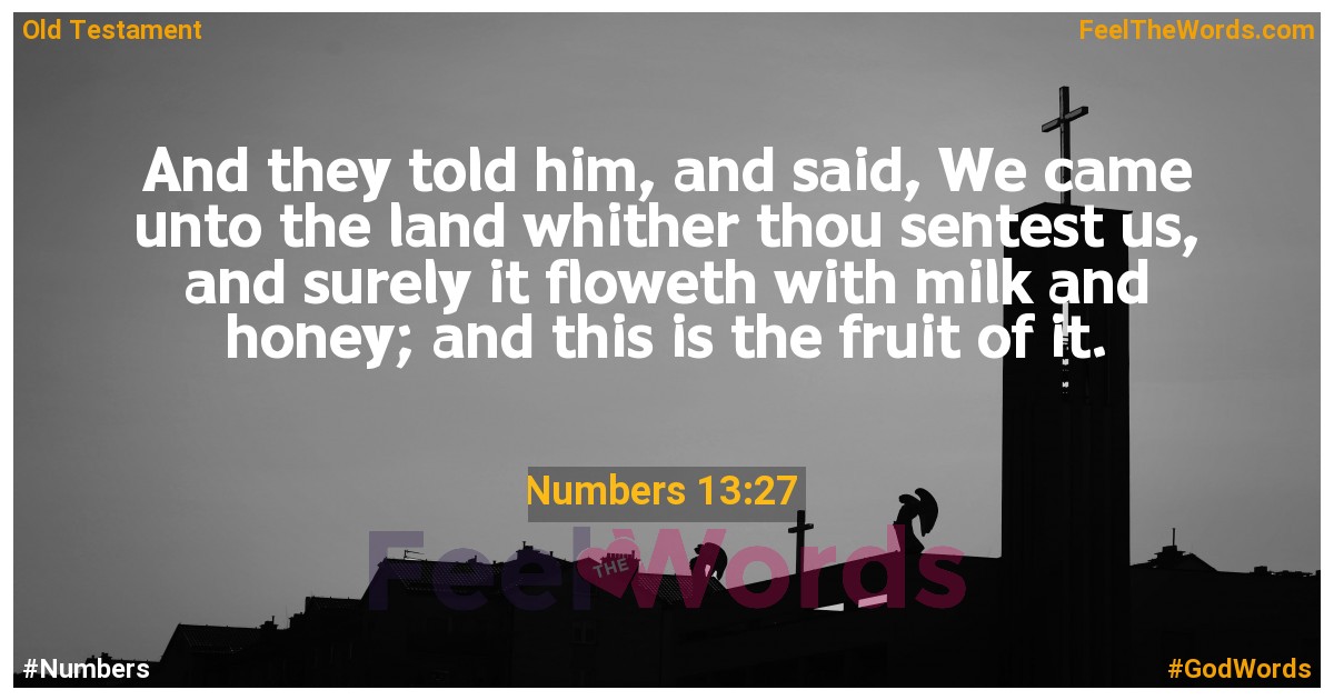 Numbers 13:27