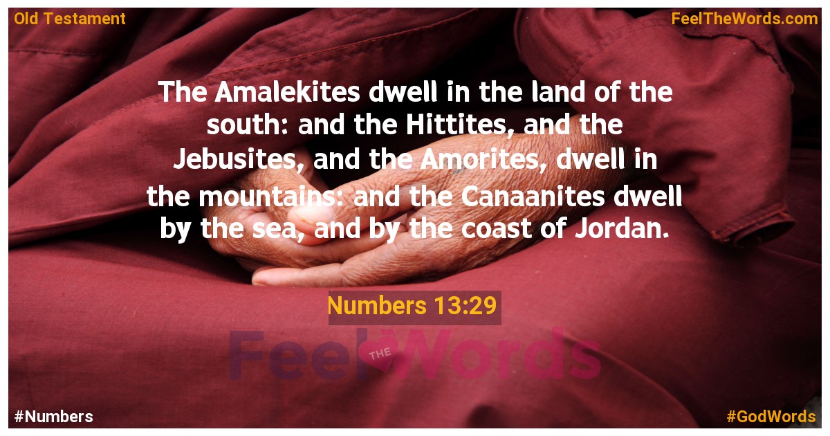 Numbers 13:29