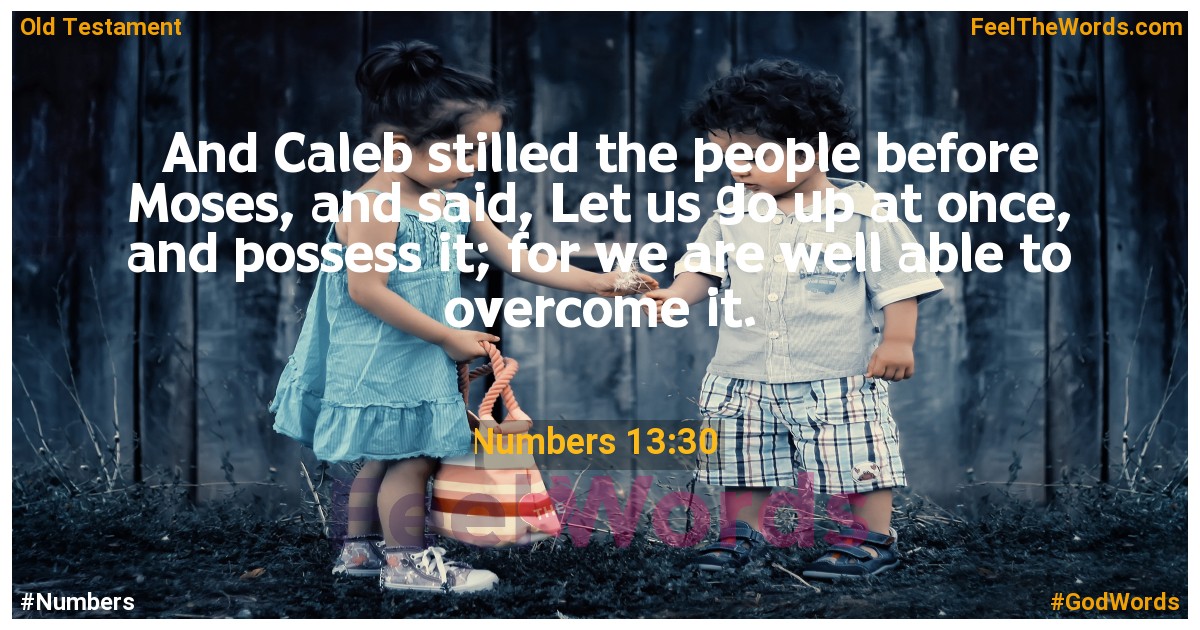 Numbers 13:30