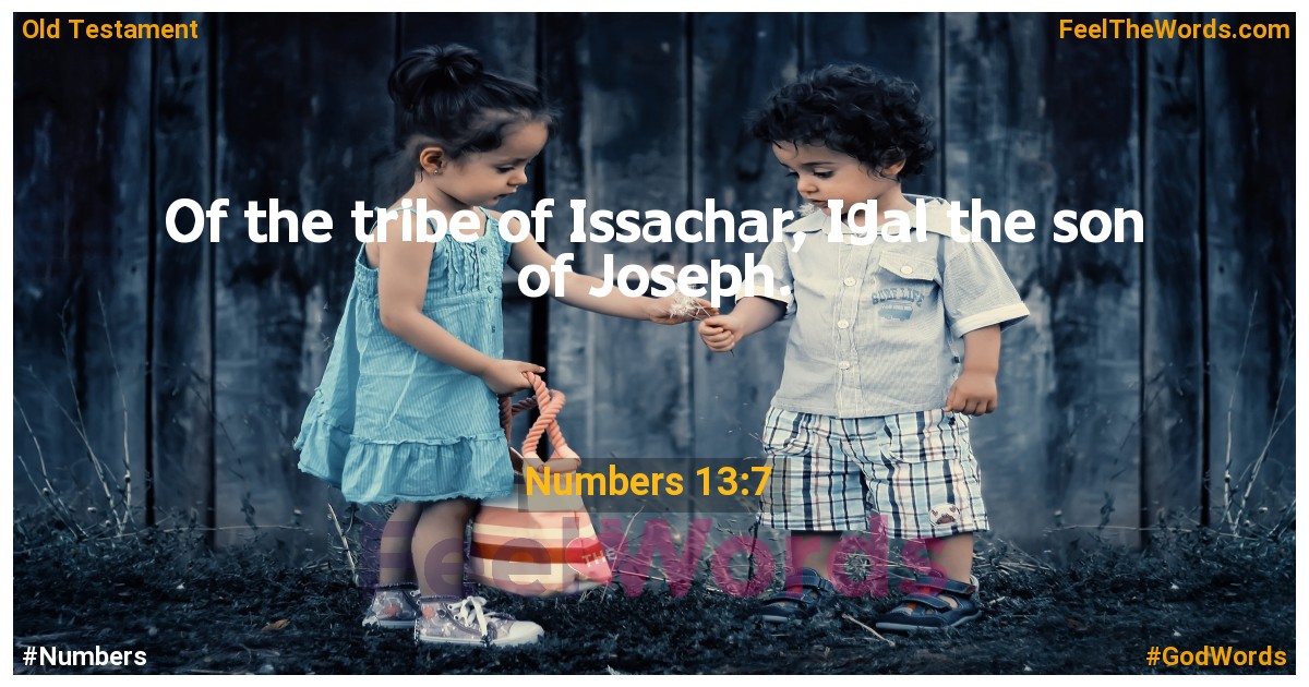 Numbers 13:7