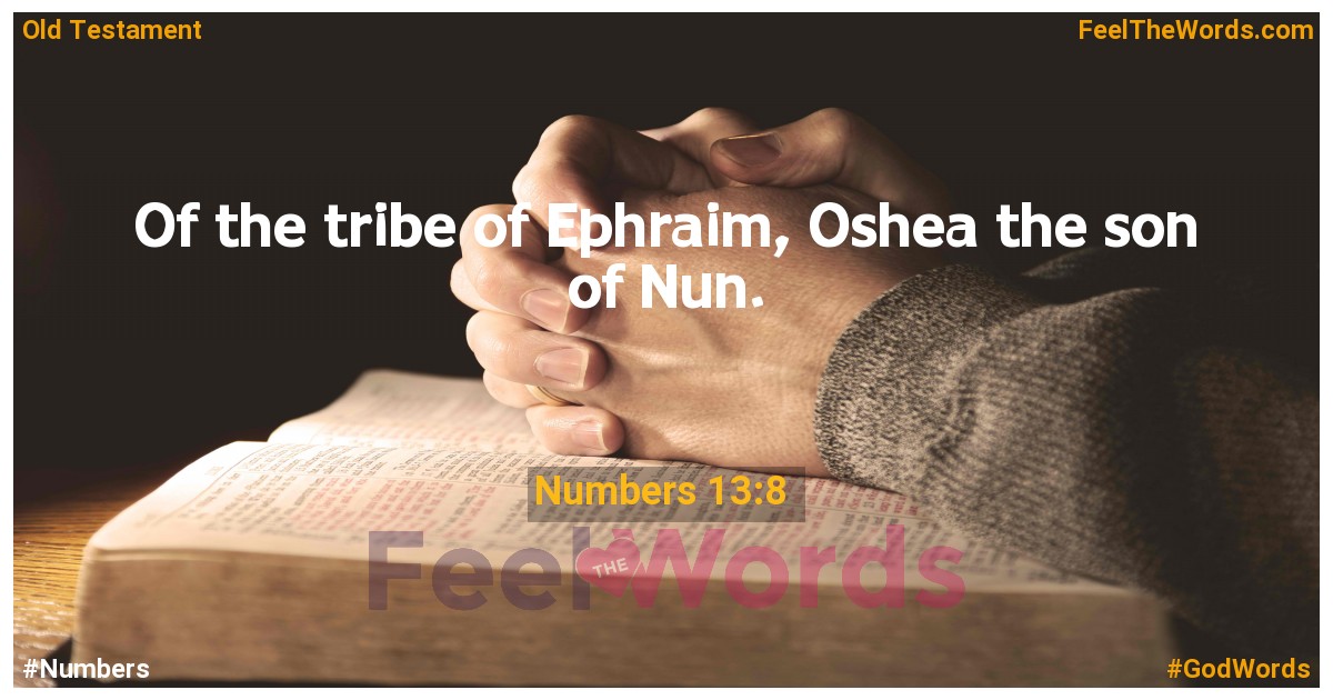 Numbers 13:8