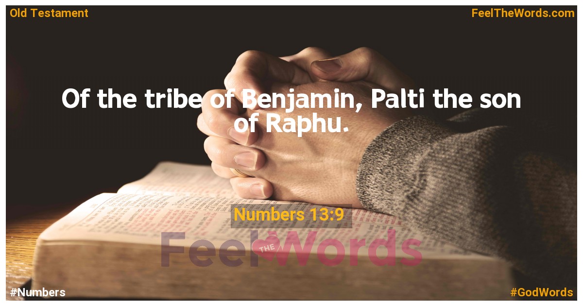 Numbers 13:9