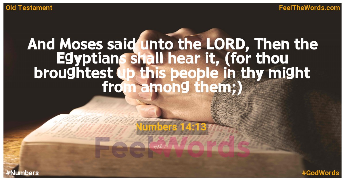 Numbers 14:13