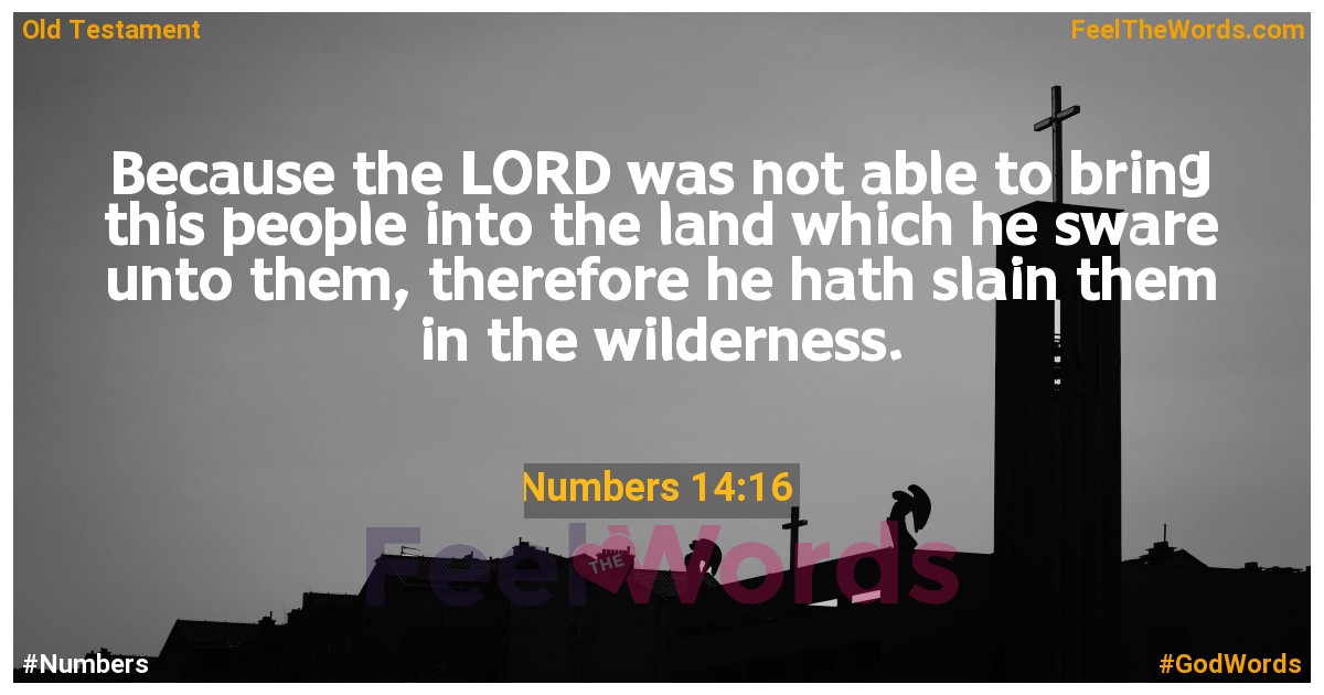 Numbers 14:16