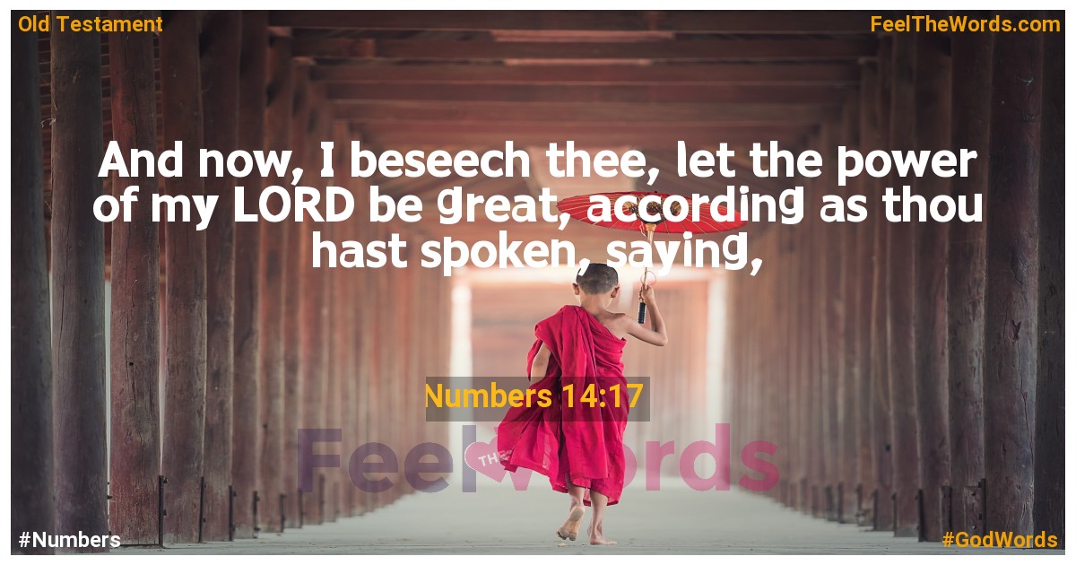 Numbers 14:17