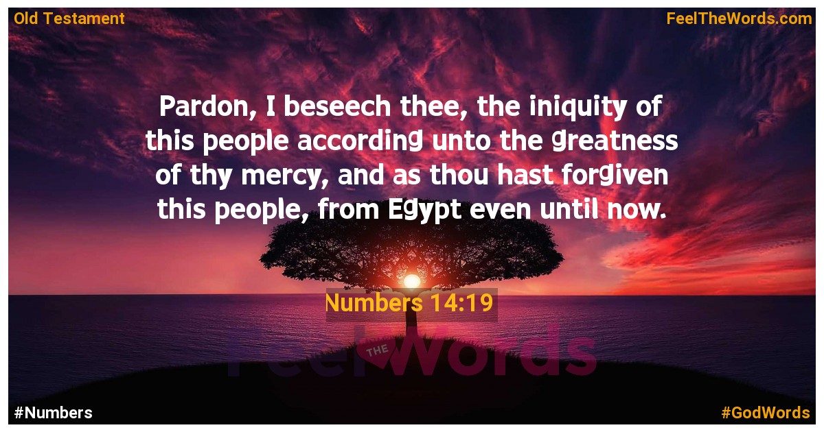 Numbers 14:19
