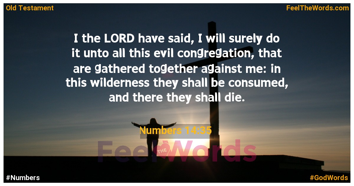 Numbers 14:35
