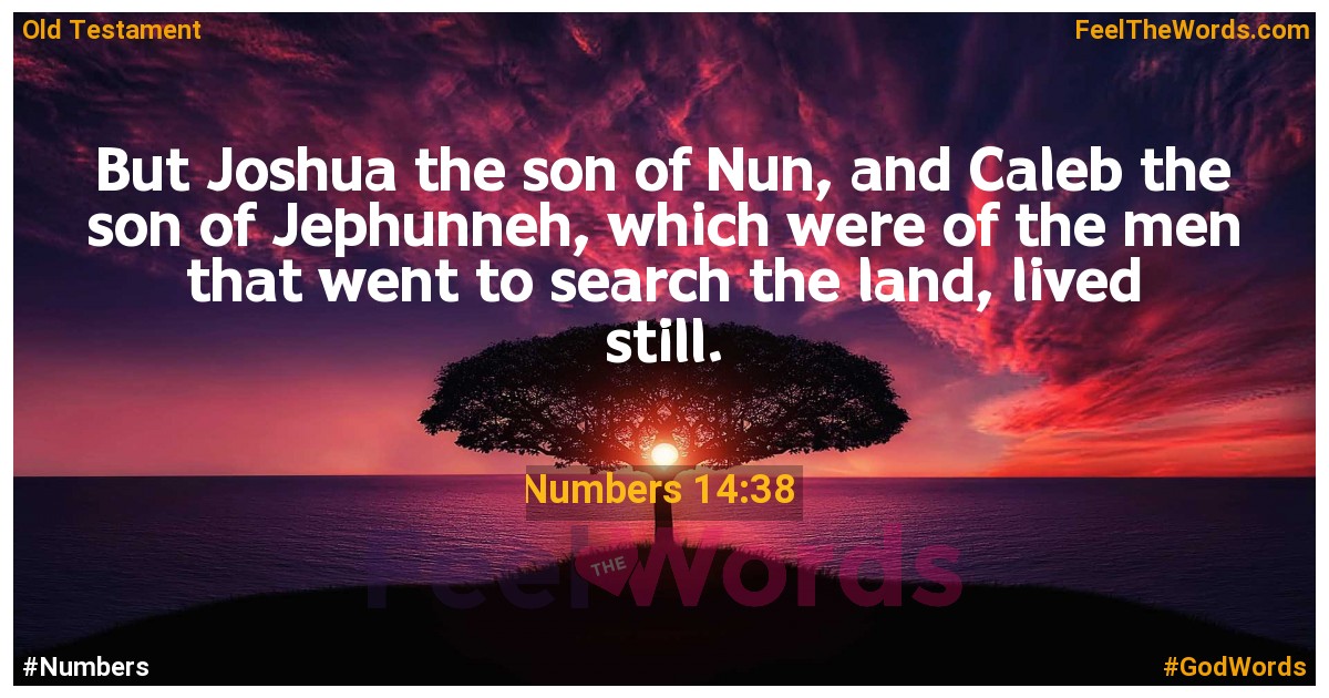 Numbers 14:38