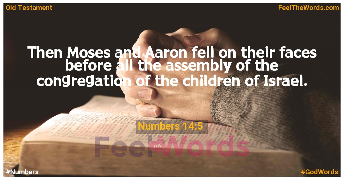 Numbers 14:5