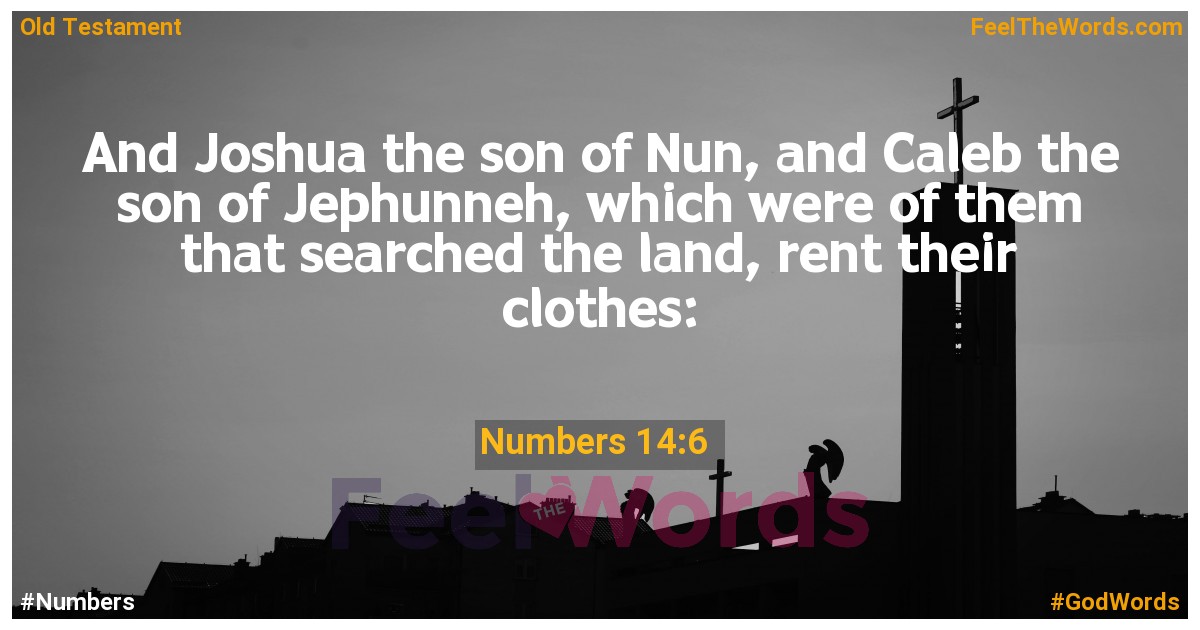 Numbers 14:6