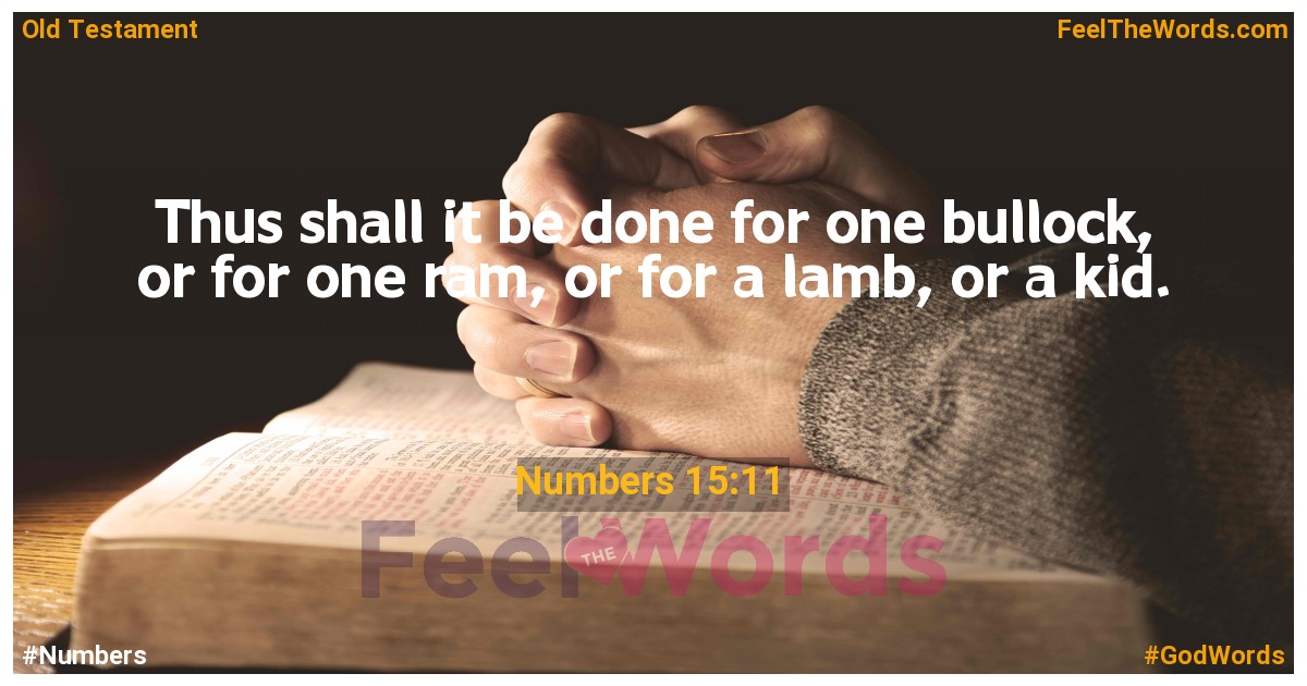 Numbers 15:11