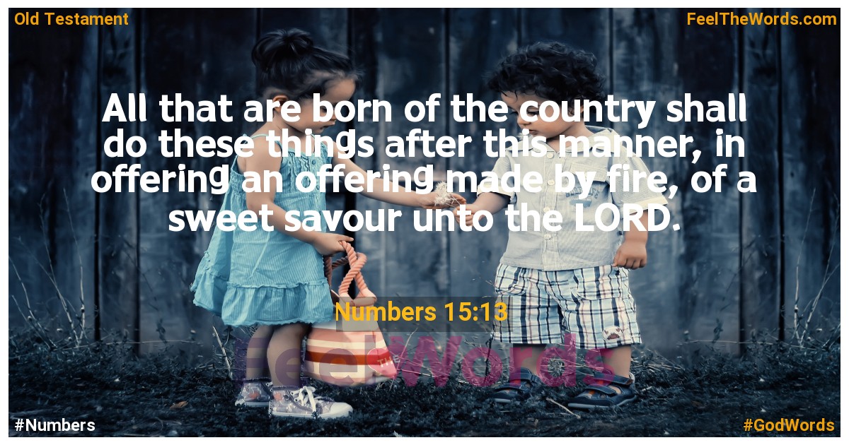 Numbers 15:13