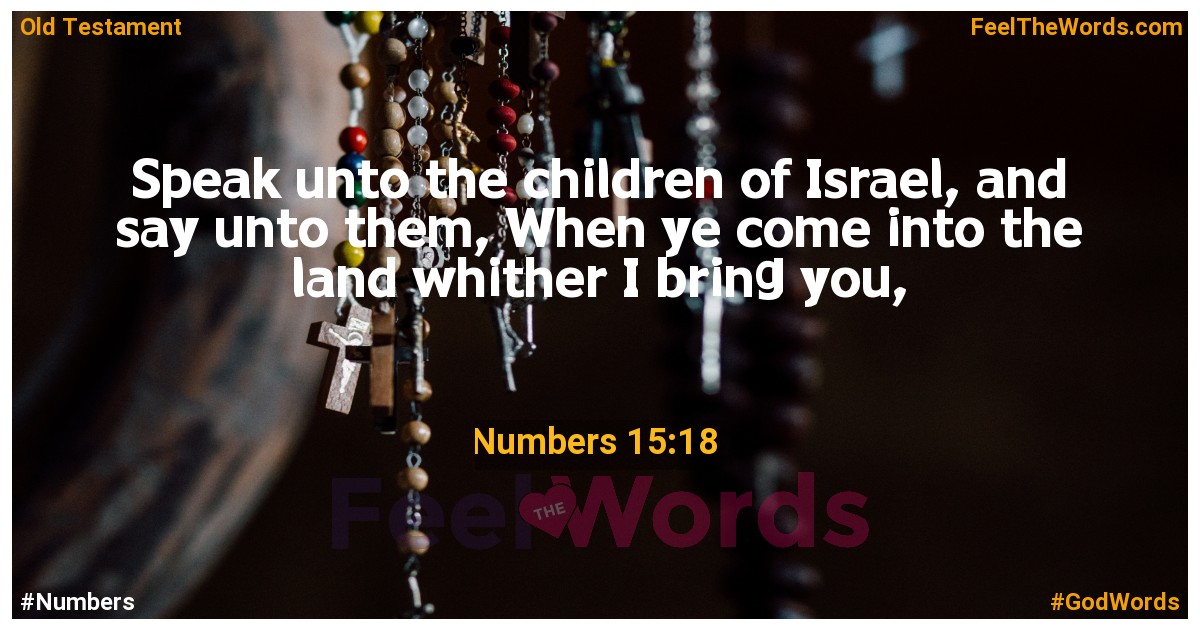 Numbers 15:18